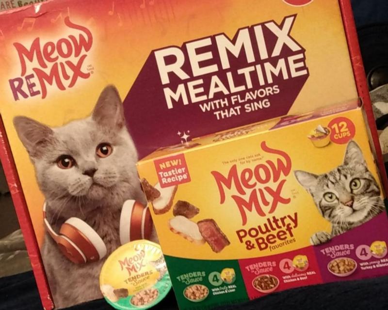 Meow now hotsell cat food