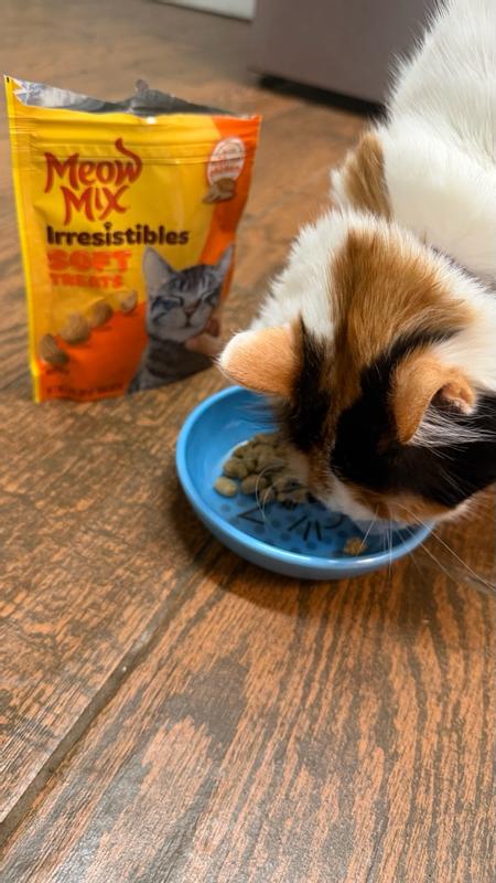 Meow Mix 12 oz Irresistibles Chicken Soft Cat Treats - 2927499049