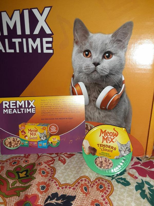 Meow mix hotsell cat video