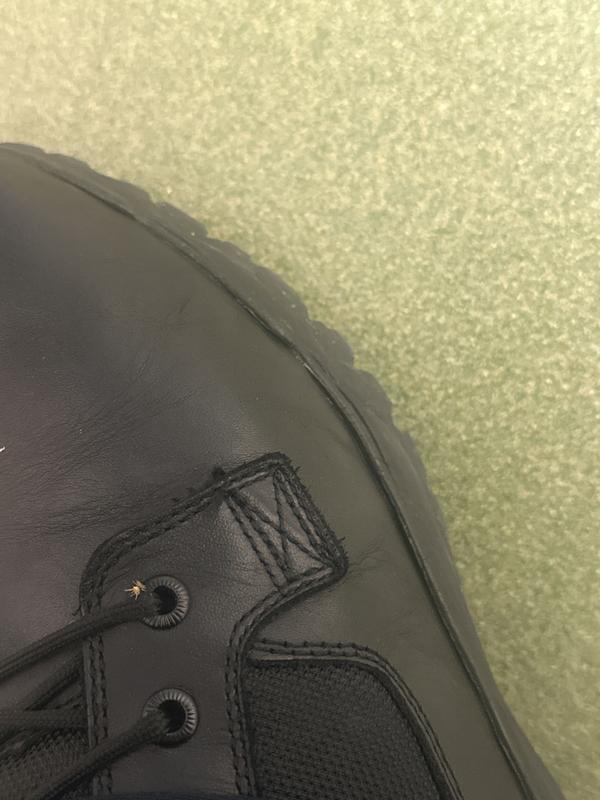 Review photo 3.