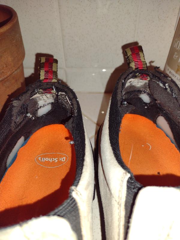 Photo submitted with review of product