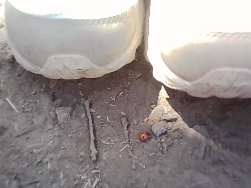 Photo submitted with review of product