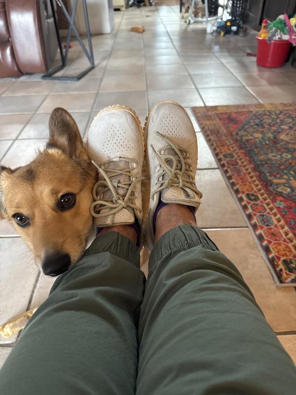 Review Thumbnail Image 0 380114465