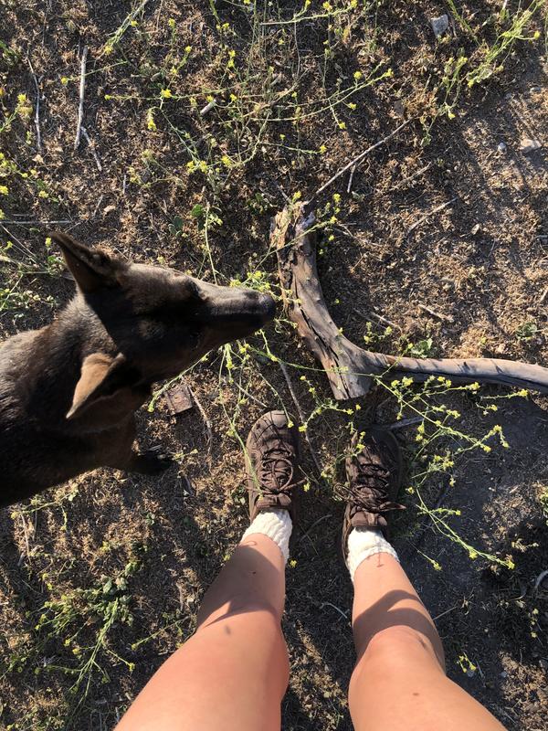 Review Thumbnail Image 2 351544142