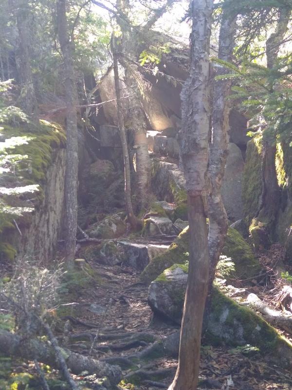Root scramble