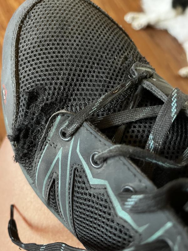 My 5 month old boots