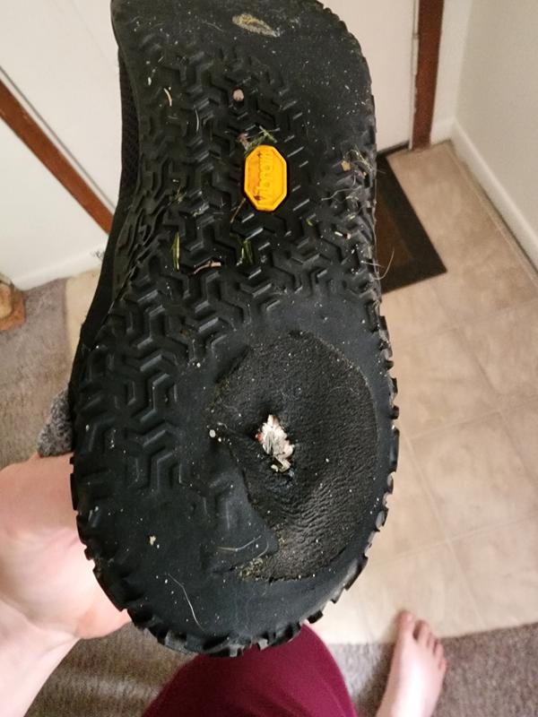 Photo submitted with review of product