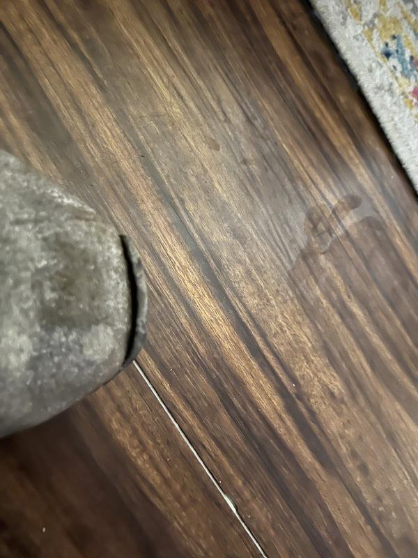 Photo submitted with review of product