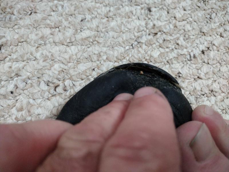 Photo submitted with review of product