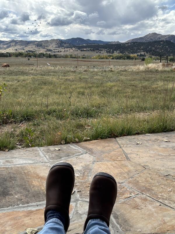 Colorado adventure shoes!