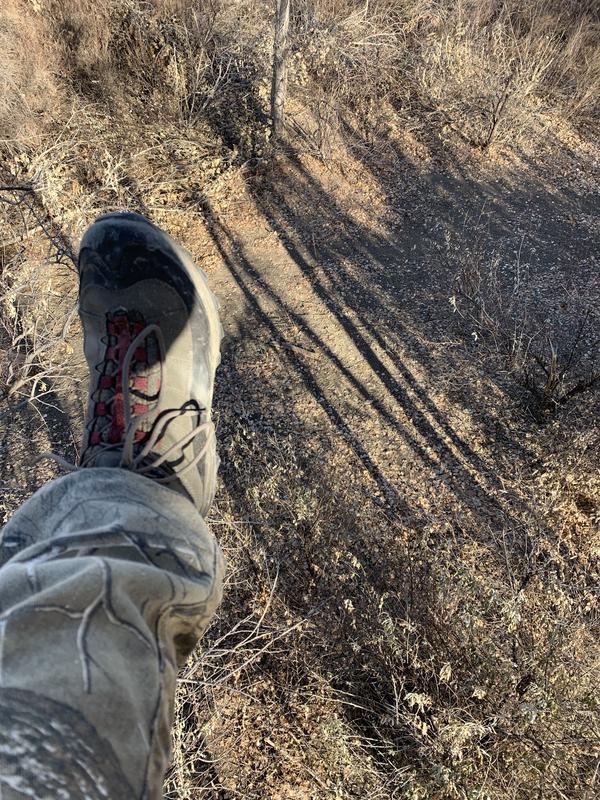 12 degrees; still feel all my toes...