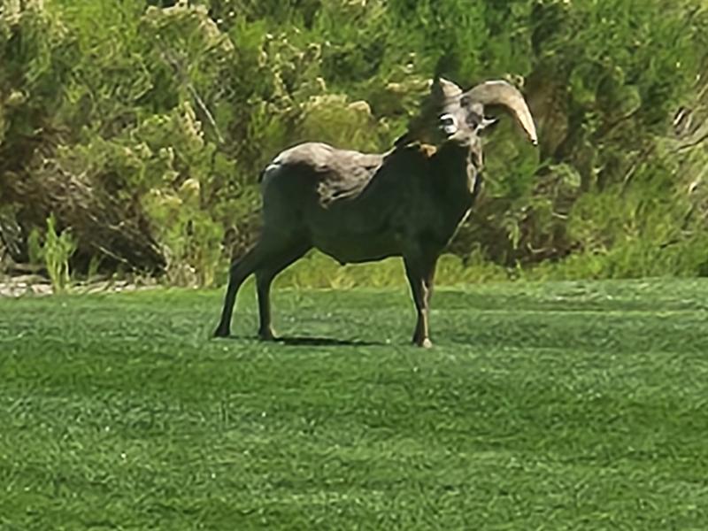 Review Thumbnail Image 1 384041589