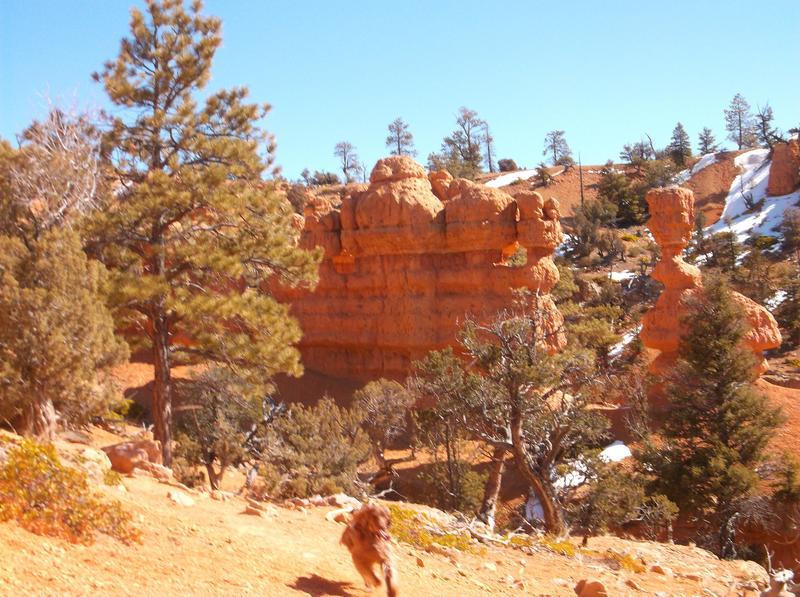 Merrell Men's Alverstone Mid Waterproof Fit Hiking Boots