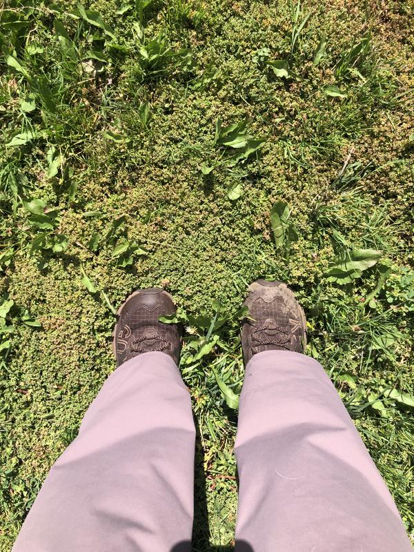 Review Thumbnail Image 0 351544142