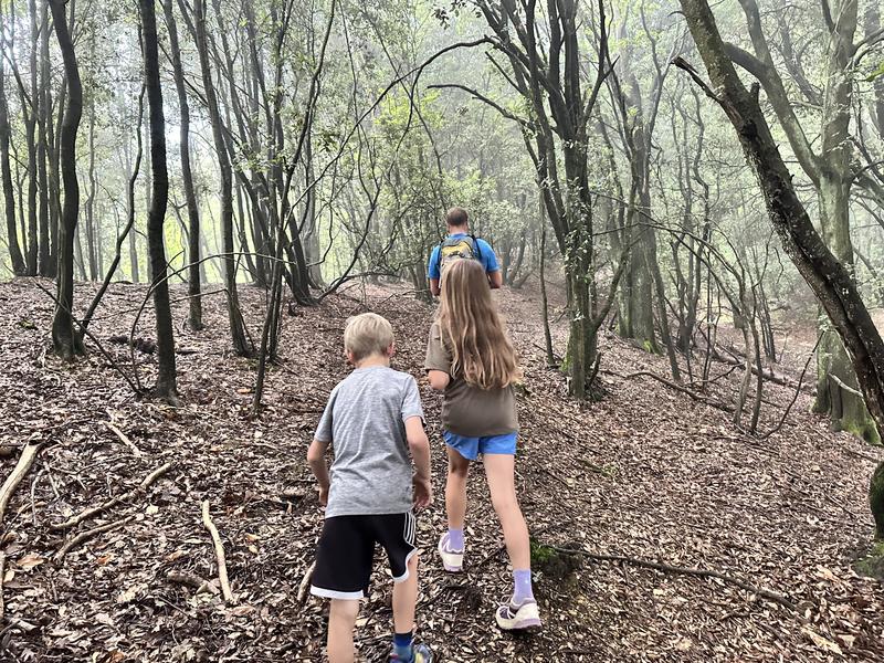 Review Thumbnail Image 0 359458067