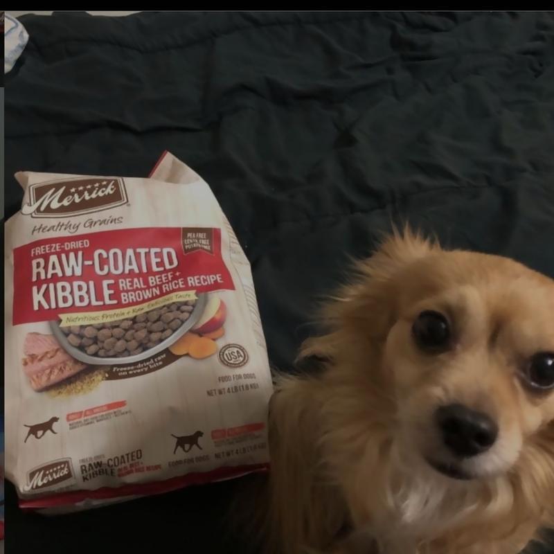 Canidae raw coated clearance review