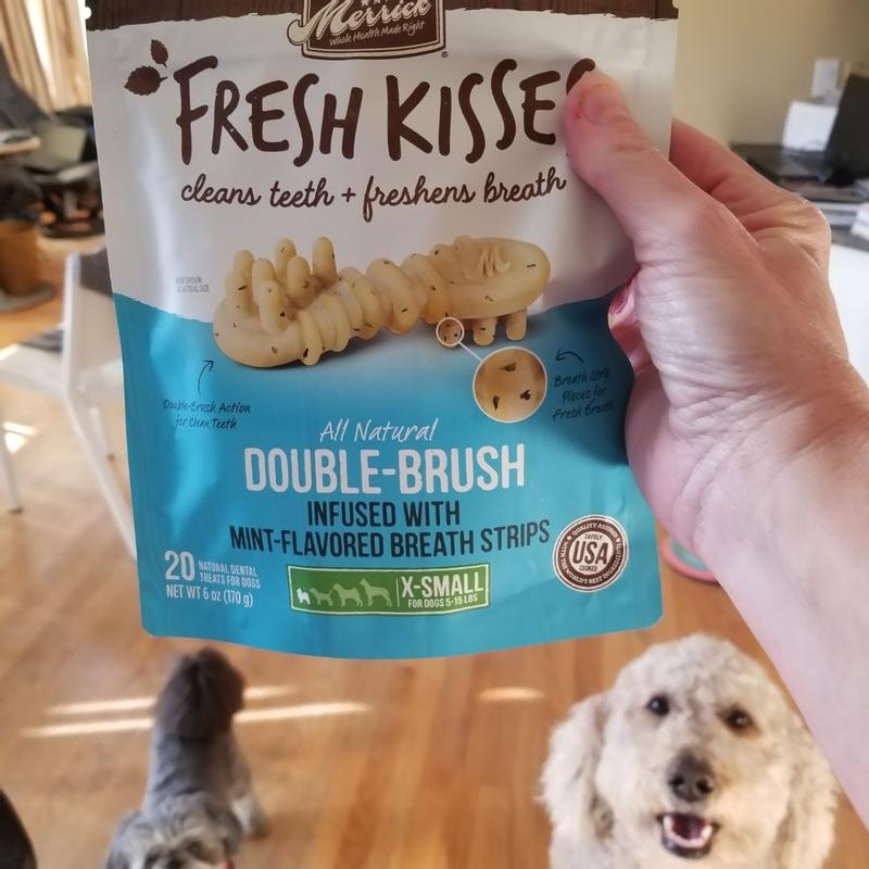 Are Listerine Strips Safe For Dogs