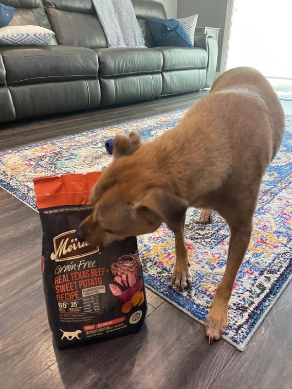 Merrick dog food on sale for skin allergies