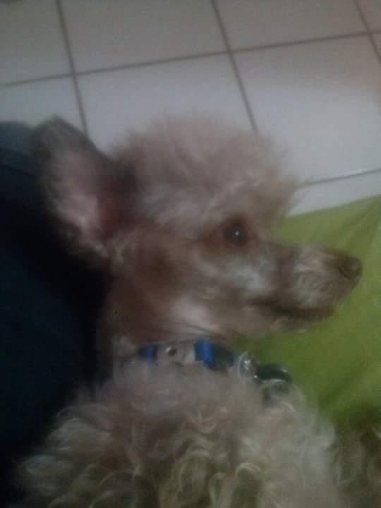 My beloved Oliver !!!