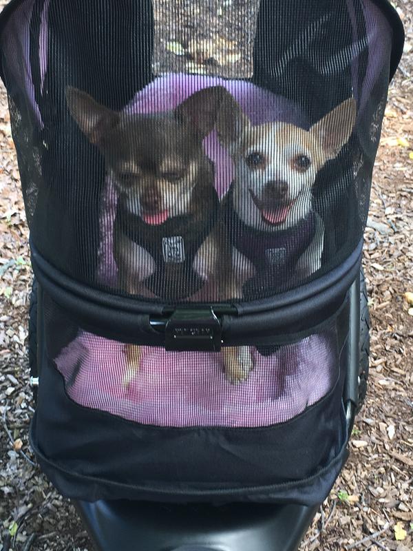 Too hot to walk!