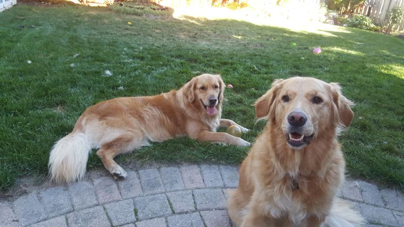my babies!