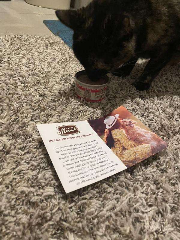 Purrfect Bistro Grain Free Chicken Wet Cat Food Pate Merrick Pet