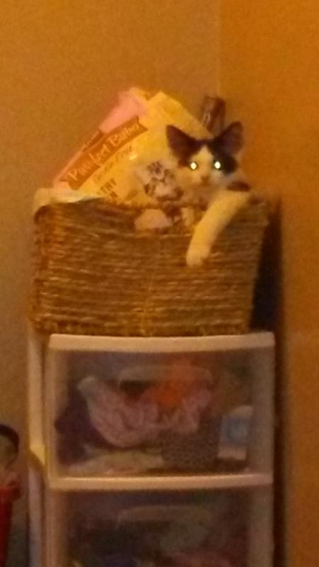 Hey ma, when's dinner?