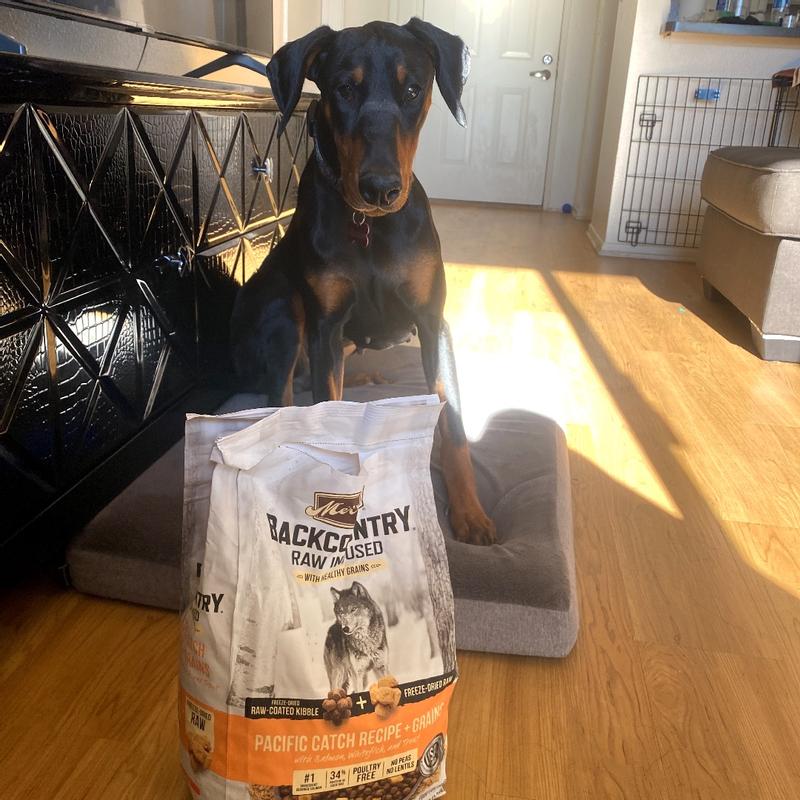 Merrick dog best sale food for doberman