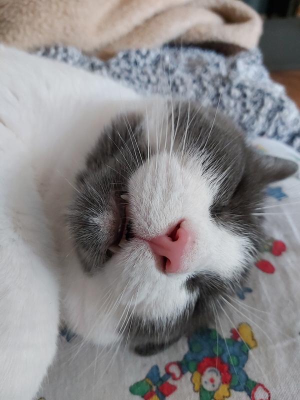 MY BELLY IS FULL!!