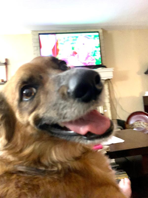 Please more RAW pieces!!!