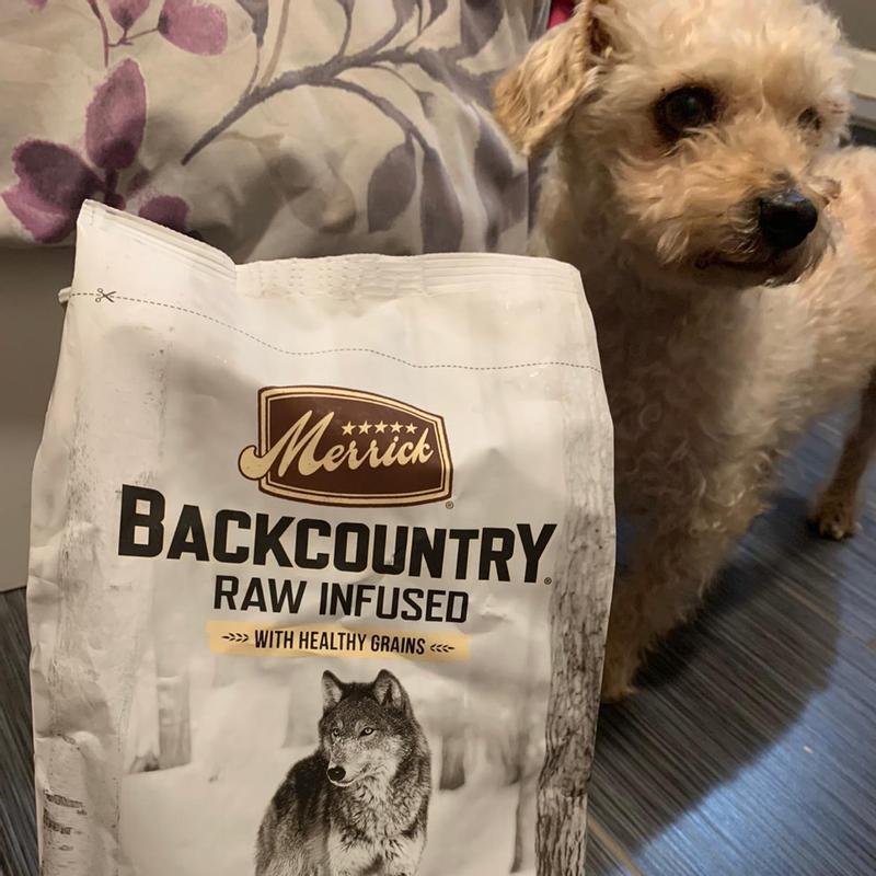 Merrick backcountry raw outlet infused cat food review