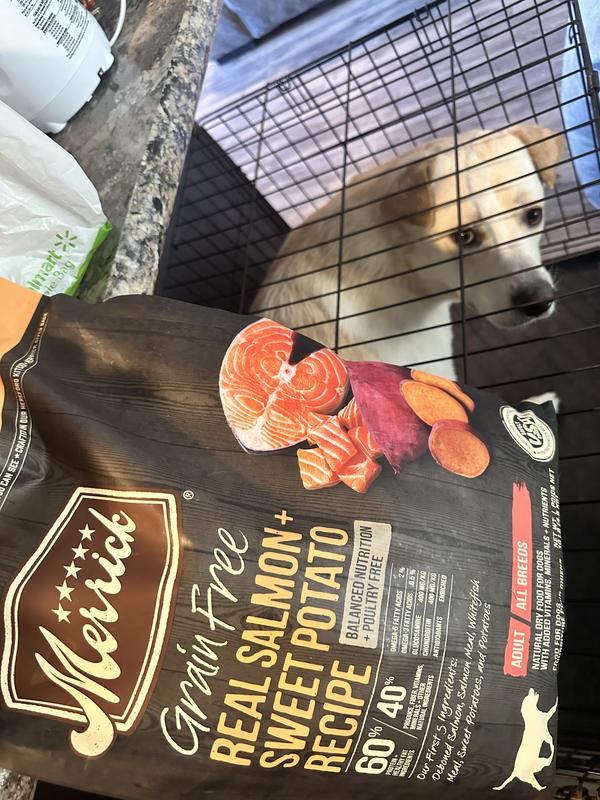 Merrick salmon outlet dry dog food