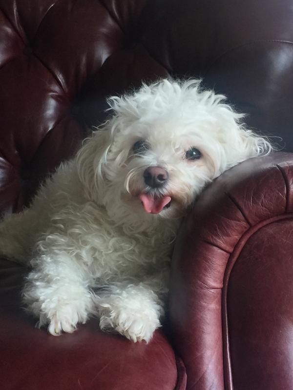 My belly is fulll.... of RAW