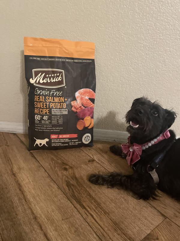 Merrick Grain Free Dry Dog Food Real Salmon Sweet Potato Recipe