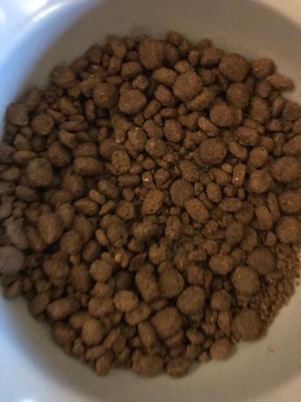 two different sized kibble in one bowl