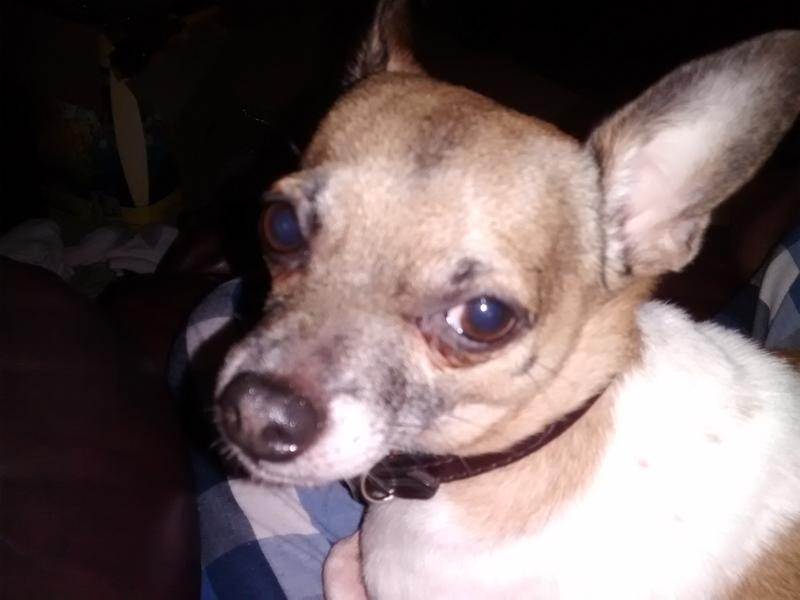 Oliver