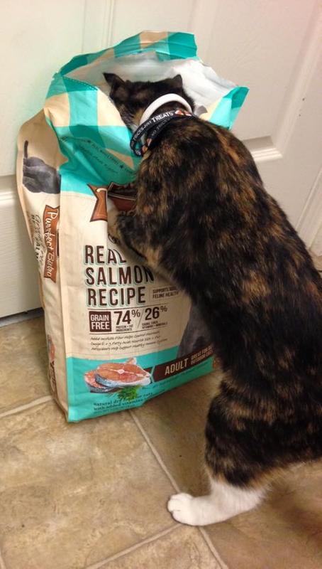 Tabitha couldn't wait!!