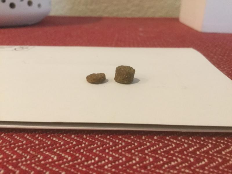 Previous size to the left vs new size to the right