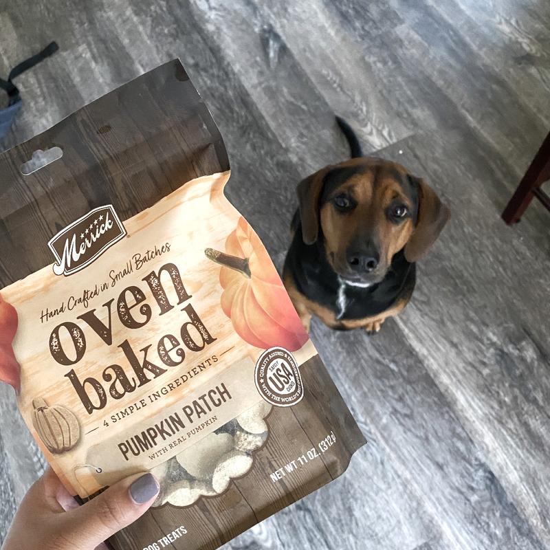 Aldi dog 2024 treats review