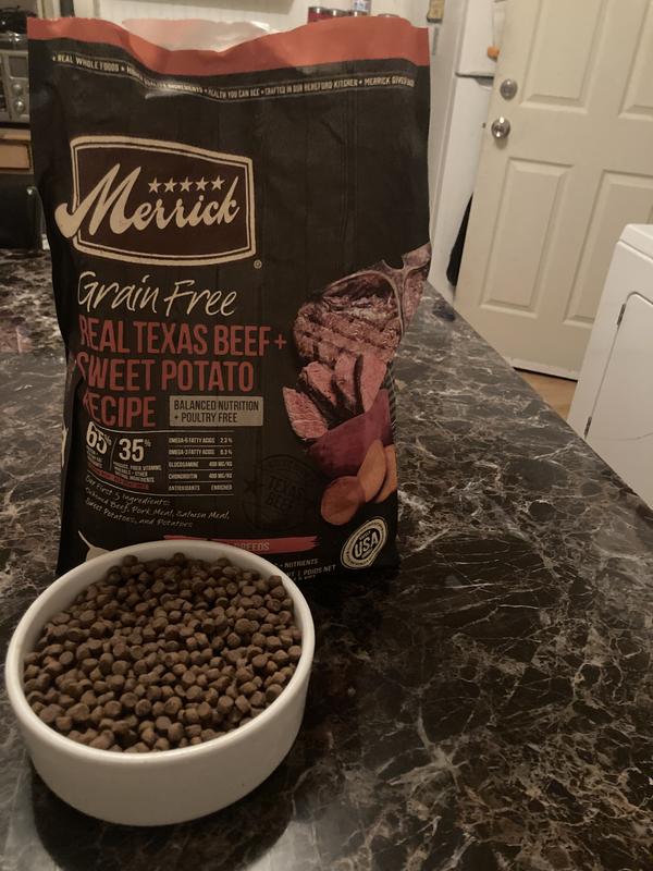 Merrick Grain Free Dry Dog Food Real Texas Beef Sweet Potato Recipe Pet Supplies Plus