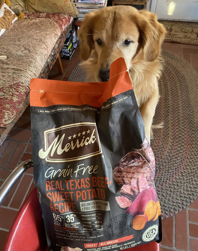 Lamb Dog Food Merrick Premium Grain Free Adult Dry Dog Food, Beef