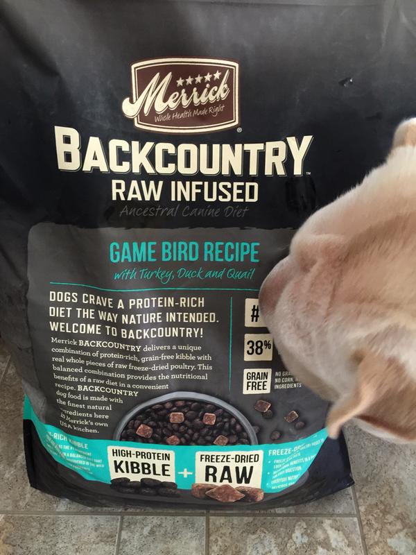 Merrick Backcountry Raw Infused Grain Free Wild Game Bird Recipe