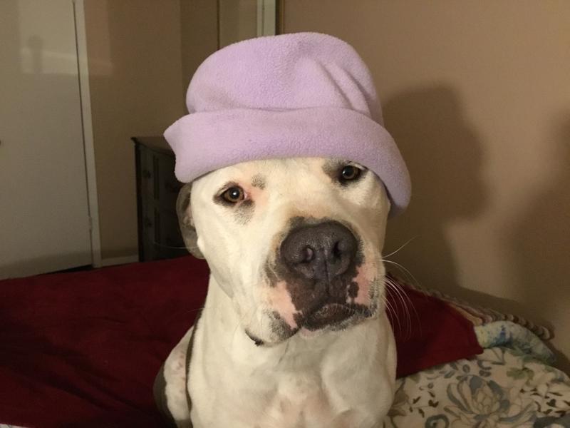 Night cap for Bella!