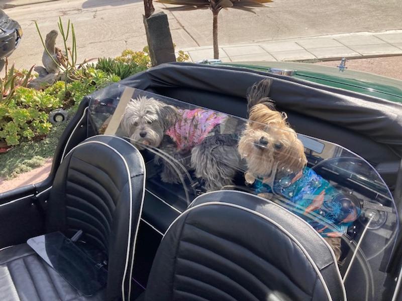 Just had lunch and on our way to the beach.