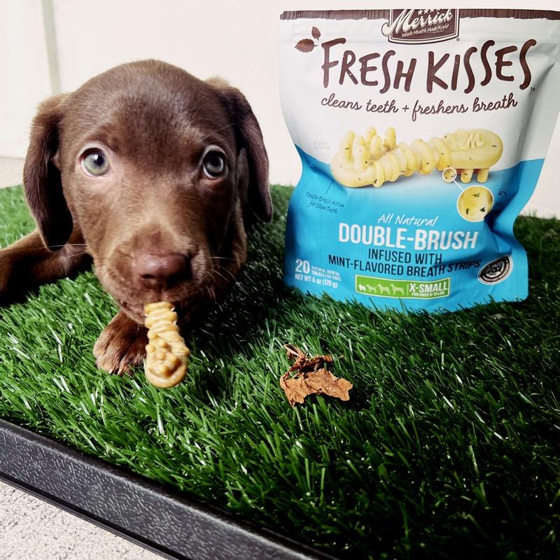 Fresh kisses shop dog treats reviews