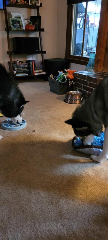 Using their snuffle mats
