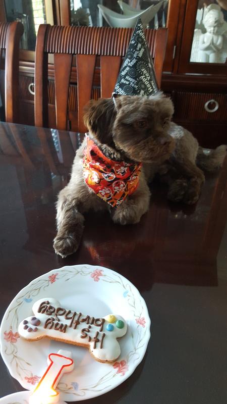 1st Birthday