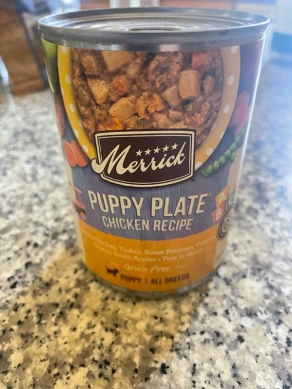 Merrick grain best sale free puppy plate