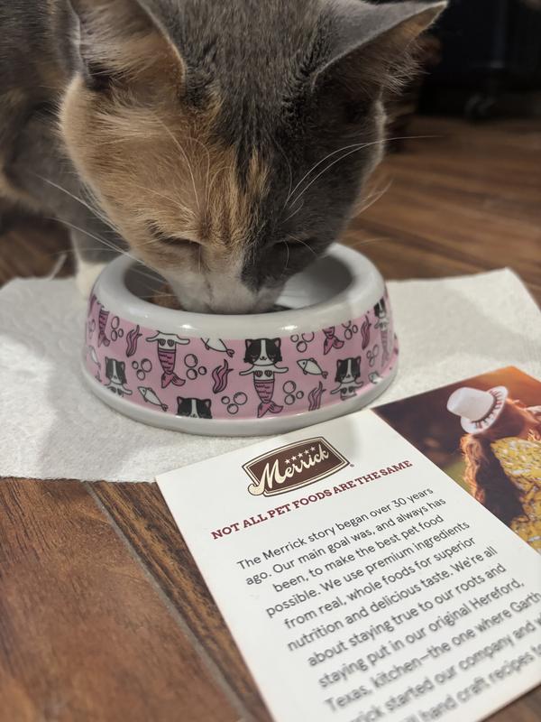 Best cat food for 8 year old cat sales