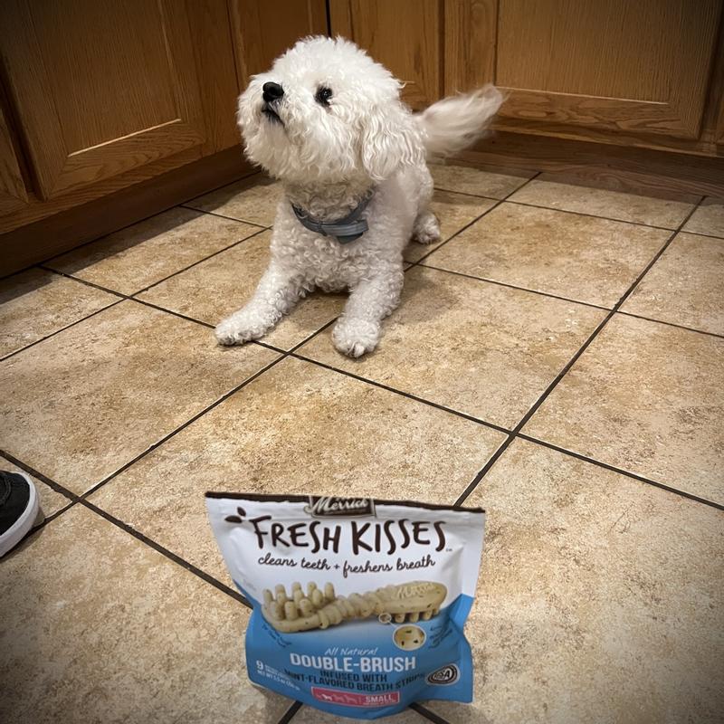 Can You Give Your Dog Listerine Strips